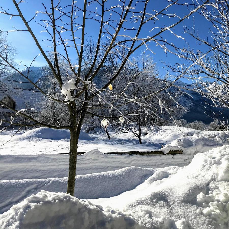 Residence Aurora, Bohinj Exteriör bild