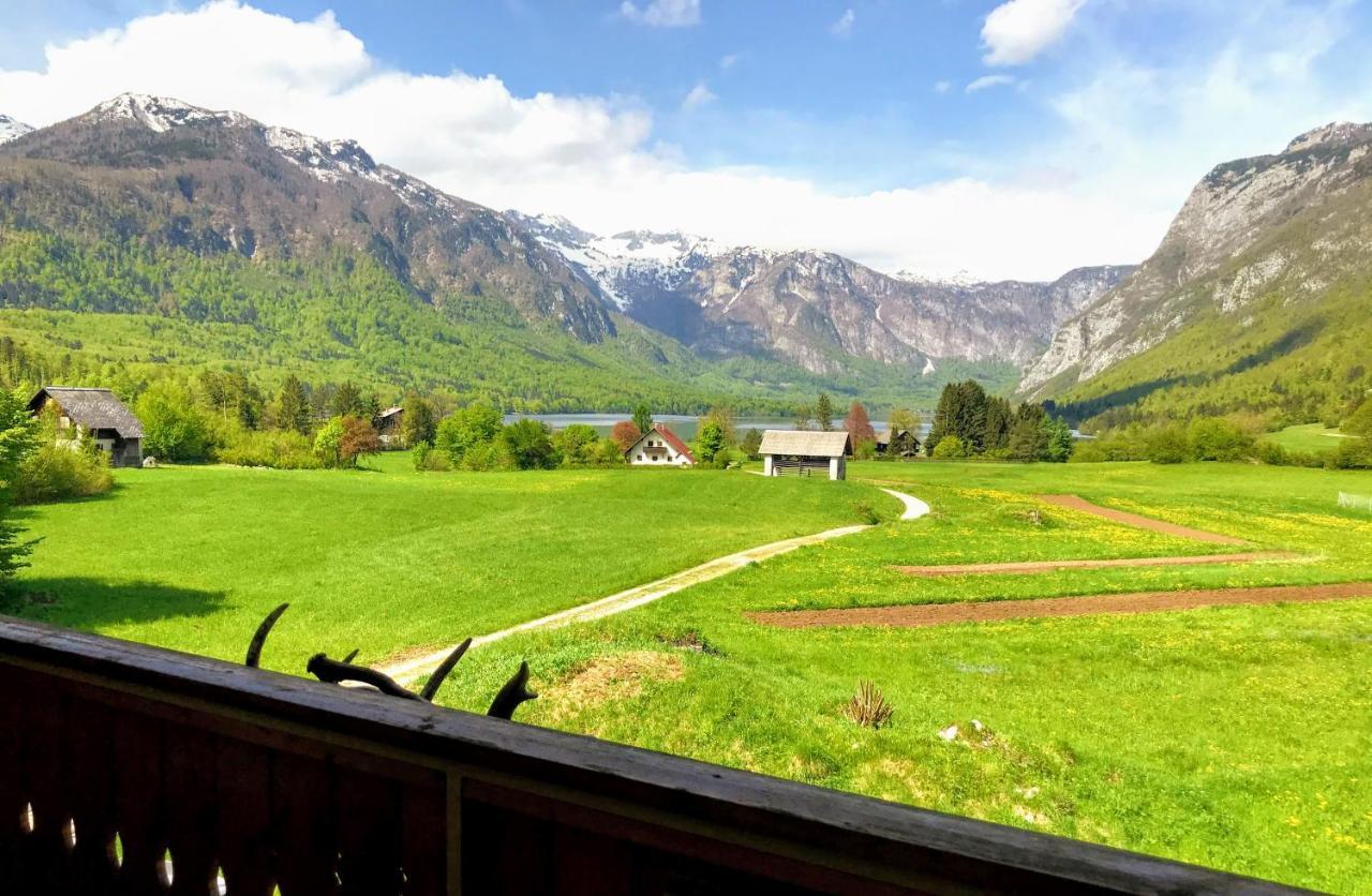 Residence Aurora, Bohinj Exteriör bild