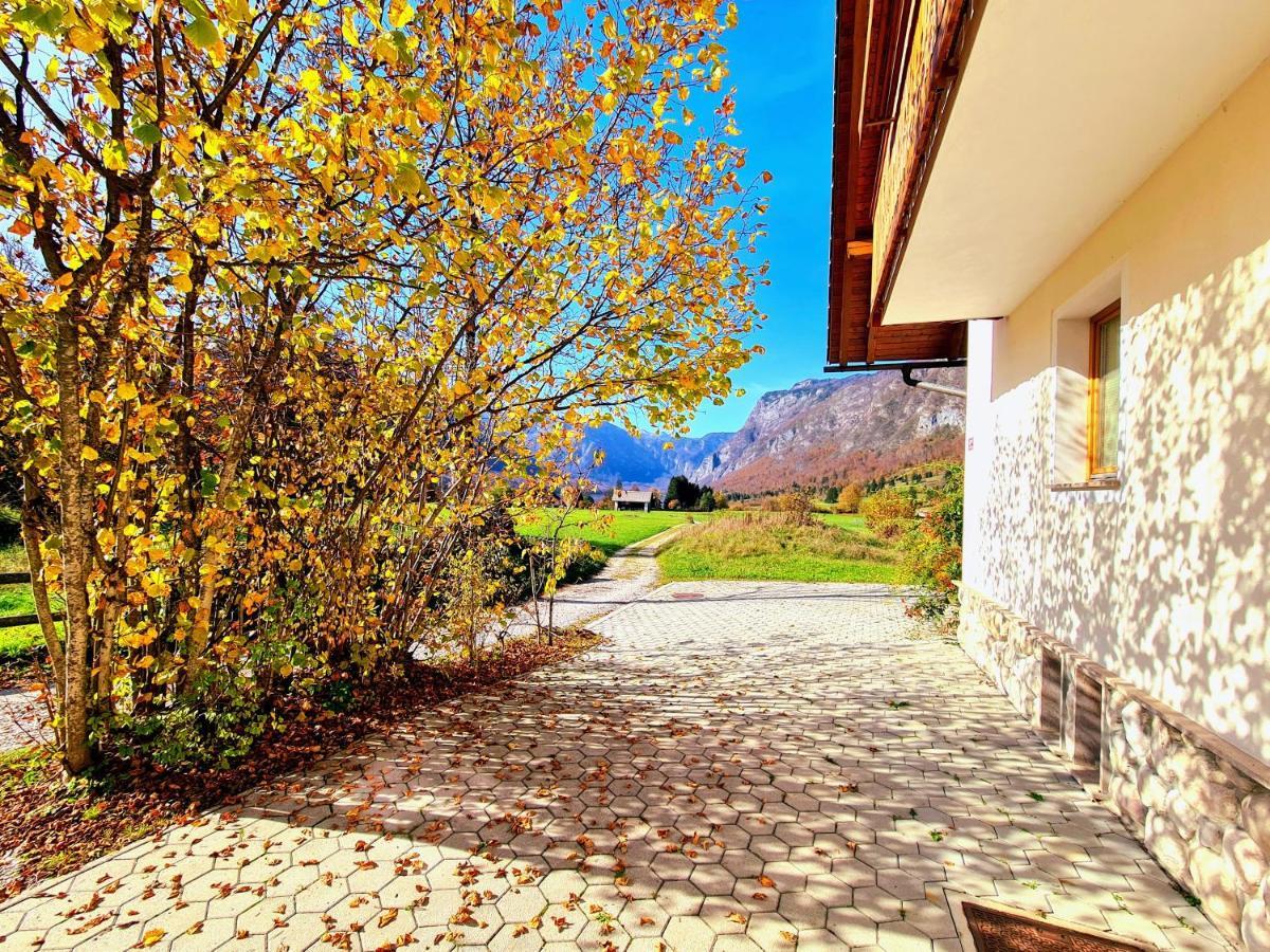 Residence Aurora, Bohinj Exteriör bild