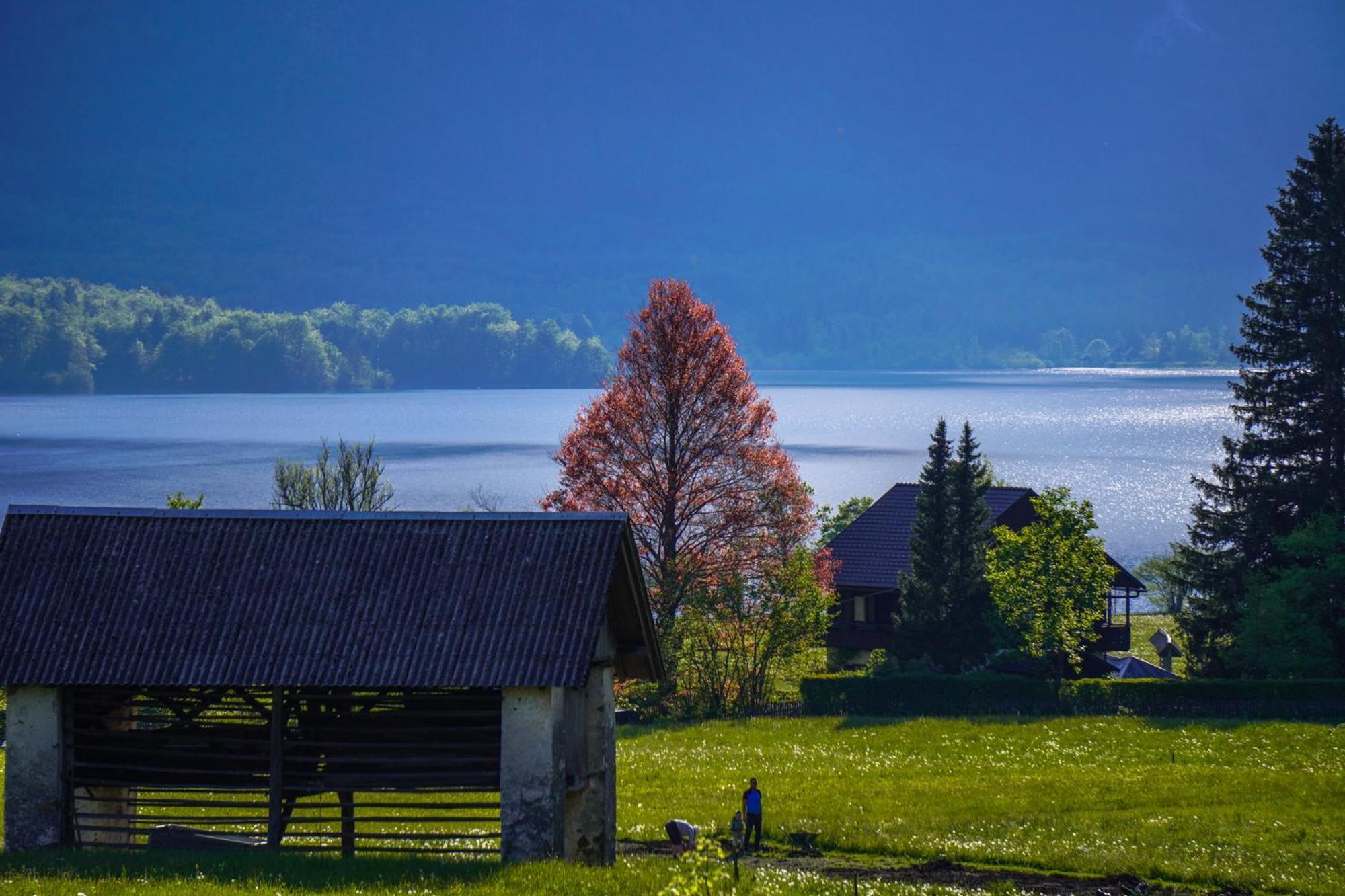 Residence Aurora, Bohinj Exteriör bild